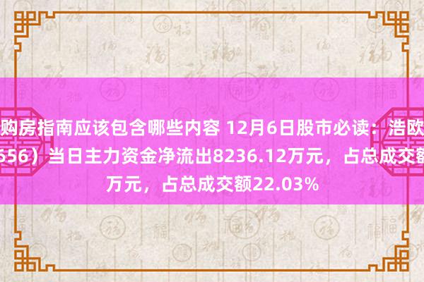 购房指南应该包含哪些内容 12月6日股市必读：浩欧博（688656）当日主力资金净流出8236.12万元，占总成交额22.03%