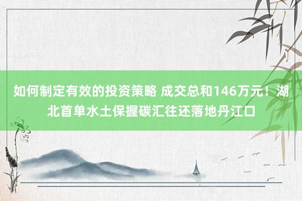 如何制定有效的投资策略 成交总和146万元！湖北首单水土保握碳汇往还落地丹江口