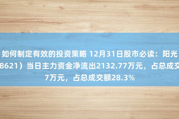 如何制定有效的投资策略 12月31日股市必读：阳光诺和（688621）当日主力资金净流出2132.77万元，占总成交额28.3%