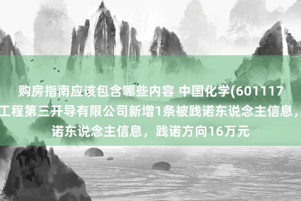 购房指南应该包含哪些内容 中国化学(601117)控股的中国化学工程第三开导有限公司新增1条被践诺东说念主信息，践诺方向16万元