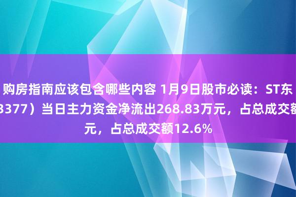 购房指南应该包含哪些内容 1月9日股市必读：ST东时（603377）当日主力资金净流出268.83万元，占总成交额12.6%