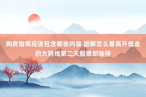 购房指南应该包含哪些内容 图解怎么看高开低走的大阴线第二天股票却涨停