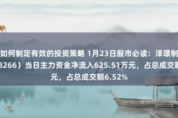 如何制定有效的投资策略 1月23日股市必读：泽璟制药（688266）当日主力资金净流入625.51万元，占总成交额6.52%