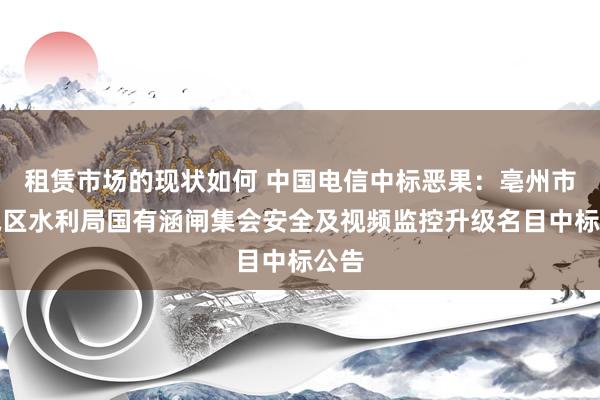 租赁市场的现状如何 中国电信中标恶果：亳州市谯城区水利局国有涵闸集会安全及视频监控升级名目中标公告