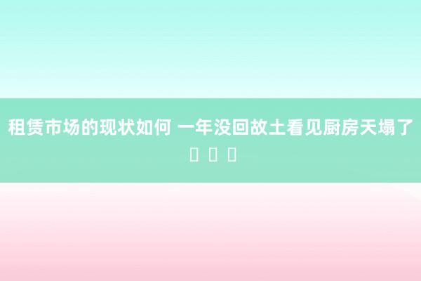 租赁市场的现状如何 一年没回故土看见厨房天塌了 ​​​