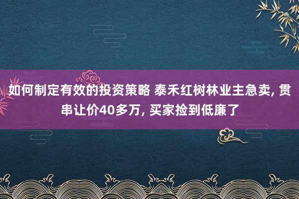 如何制定有效的投资策略 泰禾红树林业主急卖, 贯串让价40多万, 买家捡到低廉了