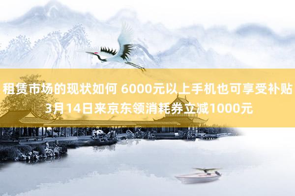 租赁市场的现状如何 6000元以上手机也可享受补贴 3月14日来京东领消耗券立减1000元