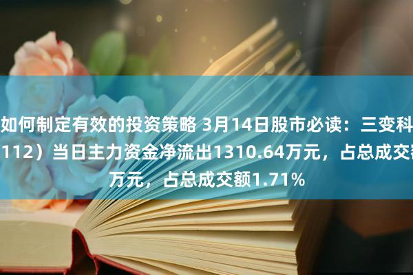 如何制定有效的投资策略 3月14日股市必读：三变科技（002112）当日主力资金净流出1310.64万元，占总成交额1.71%