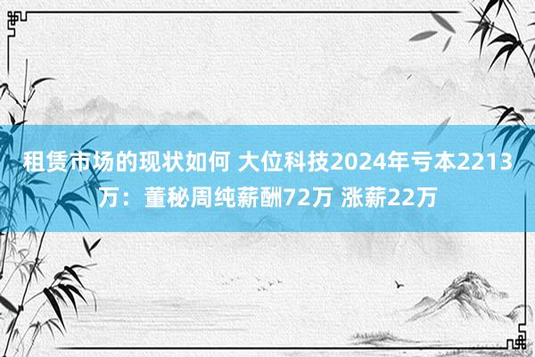 租赁市场的现状如何 大位科技2024年亏本2213万：董秘周纯薪酬72万 涨薪22万